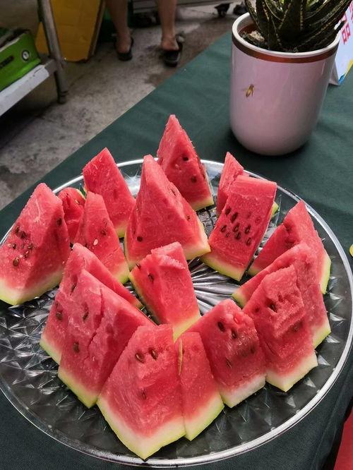 吃瓜盟主重庆,揭秘山城美食与娱乐的狂欢盛宴