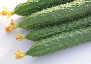 吃瓜有益身心吗,揭秘吃瓜对身心健康的益处