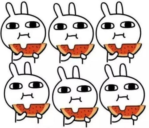 小程序吃瓜帮,带你领略网络热点的趣味与深度