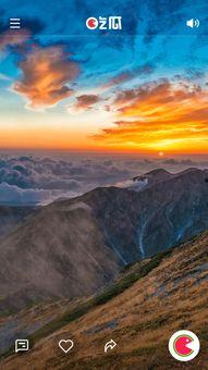 吃瓜真实视频下载