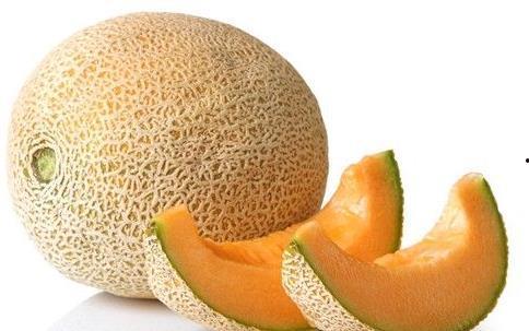 哈密瓜养虫子吃,哈密瓜虫害防治与生态养殖探索