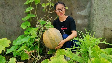 汶上闫村吃瓜,夏日炎炎，瓜香四溢的乡村盛宴