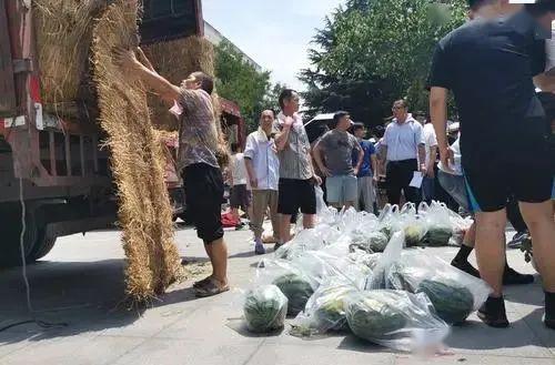 岭校吃瓜事件,揭秘校园网络舆论风波背后的真相